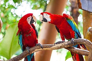 《心灵杀手2》发售前2分钟视频带你回顾初代剧情